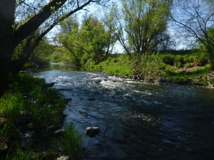 Lahn bei Kernbach