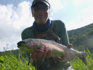 Rainbow trout 