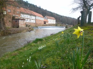 Frühling kommt